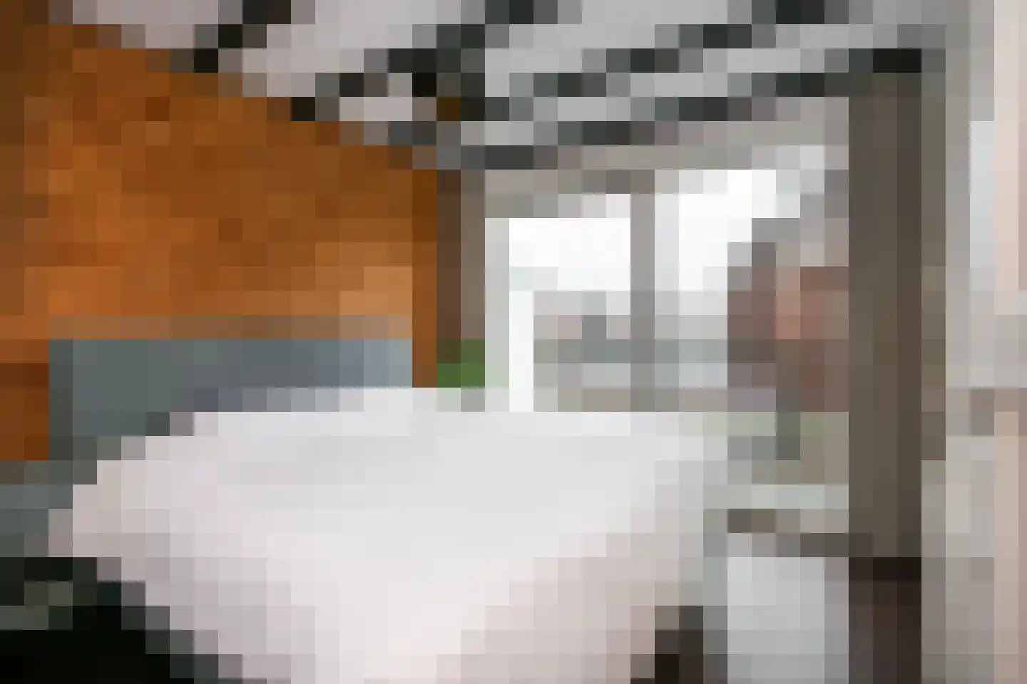 Cornelis Dirkszstraat 15 Utrecht thumbnail 26
