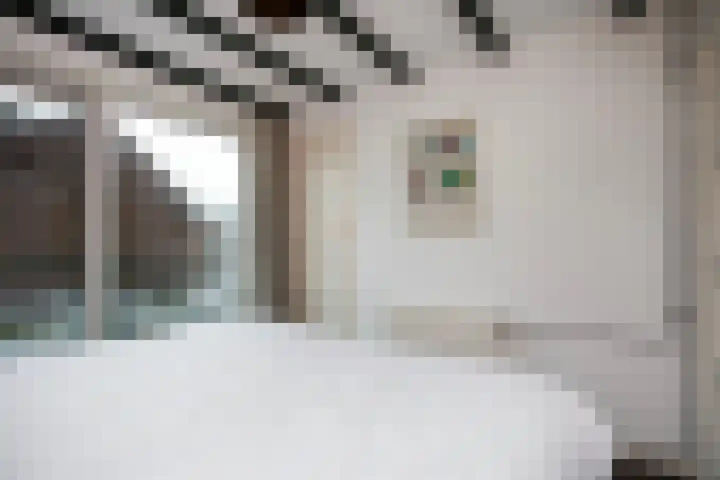 Cornelis Dirkszstraat 15 Utrecht thumbnail 27