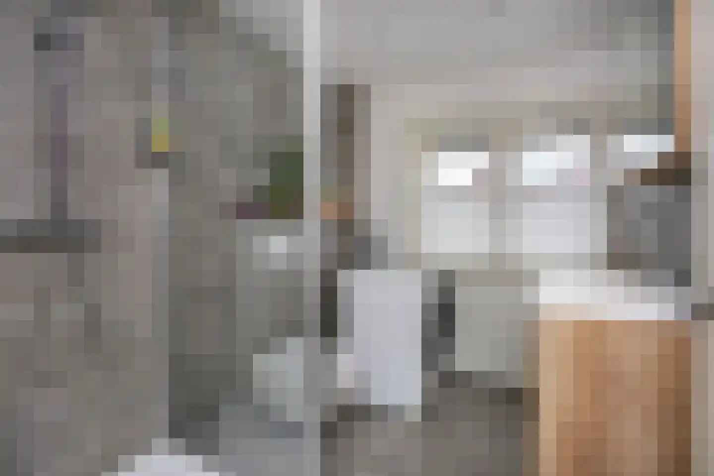 Cornelis Dirkszstraat 15 Utrecht thumbnail 31