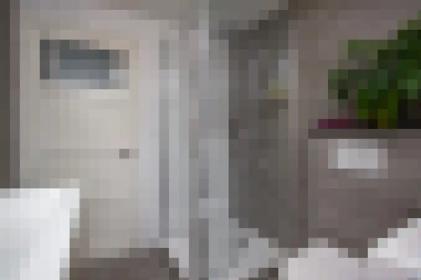 Cornelis Dirkszstraat 15 Utrecht thumbnail 32