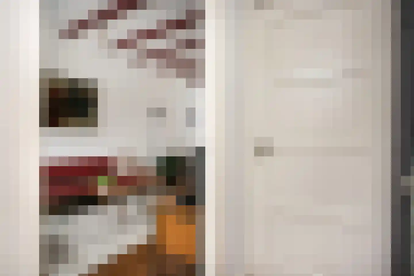 Cornelis Dirkszstraat 15 Utrecht thumbnail 7