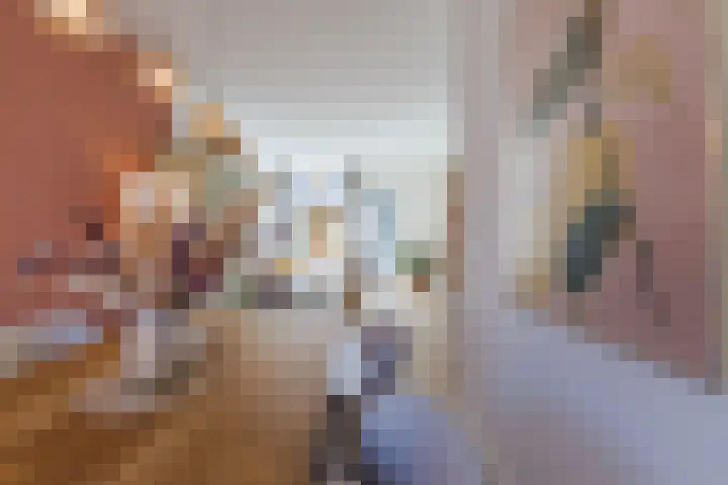 Cornelis Dirkszstraat 151 Utrecht thumbnail 17