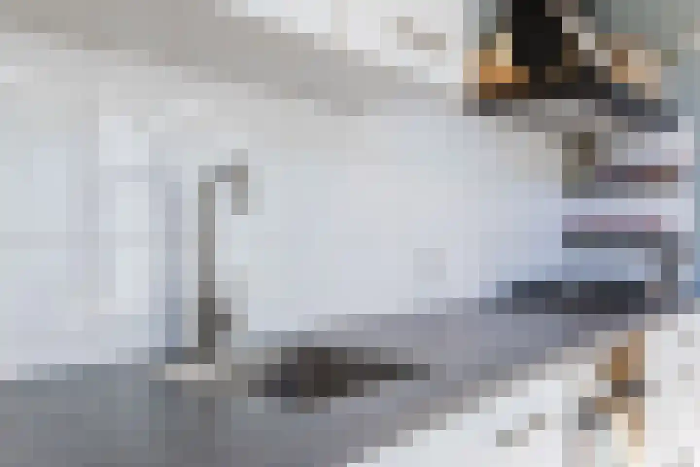Cornelis Dirkszstraat 151 Utrecht thumbnail 23