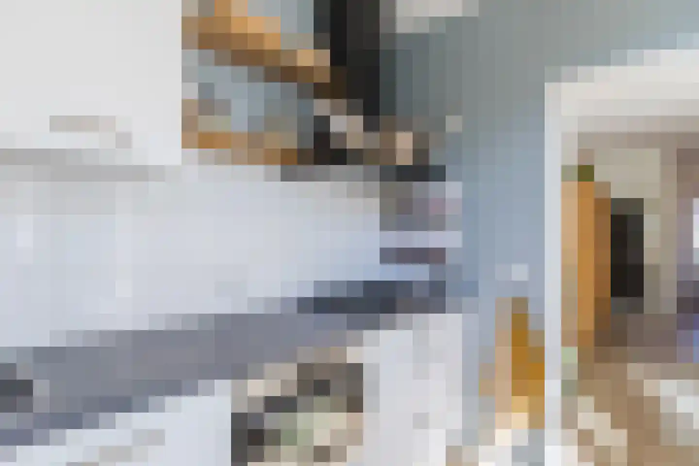 Cornelis Dirkszstraat 151 Utrecht thumbnail 24