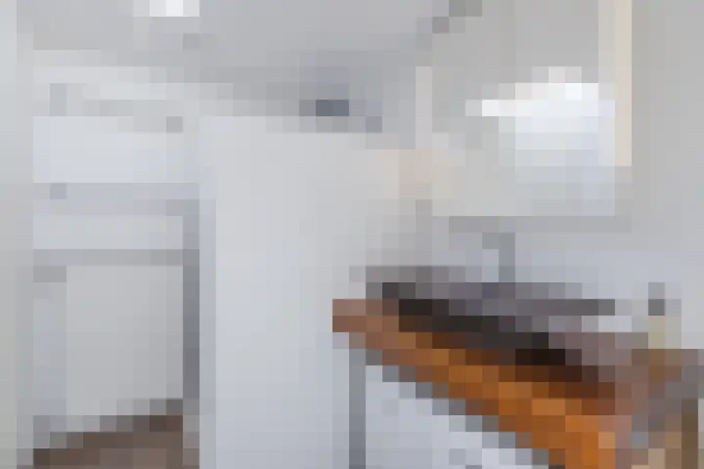 Cornelis Dirkszstraat 151 Utrecht thumbnail 32