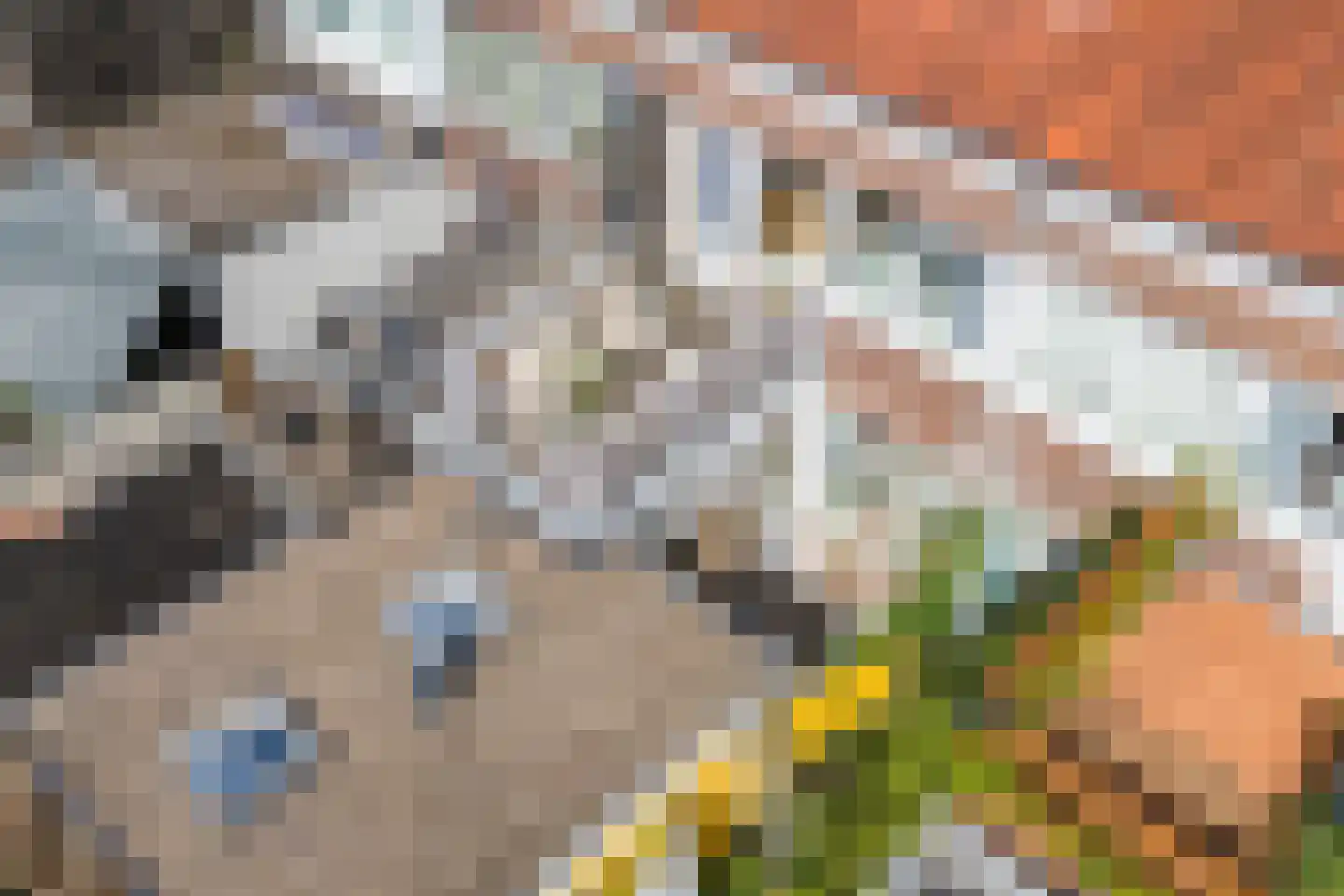 Cornelis Dirkszstraat 151 Utrecht thumbnail 59