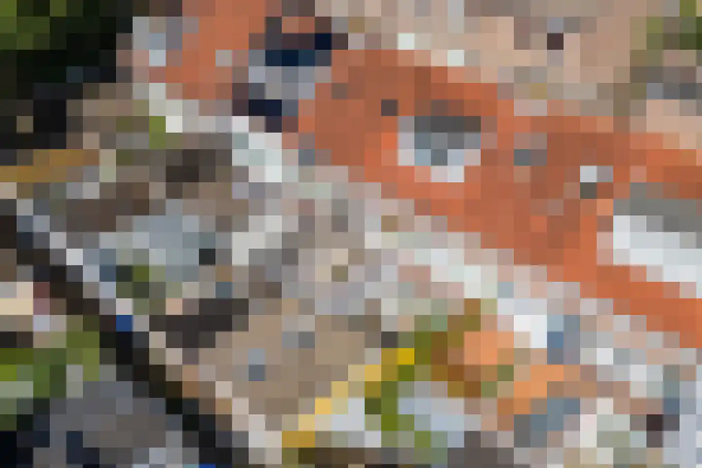Cornelis Dirkszstraat 151 Utrecht thumbnail 60