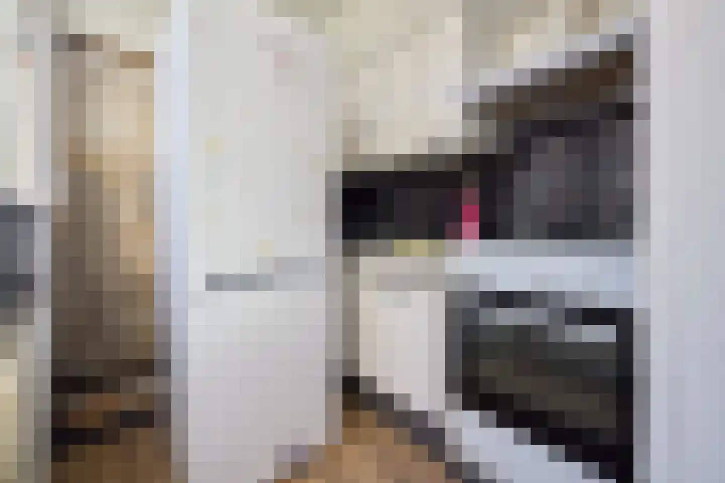 Cornelis Dirkszstraat 163 Utrecht thumbnail 13