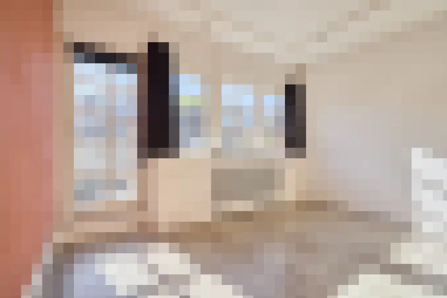 Cornelis Dirkszstraat 165 Utrecht thumbnail 20