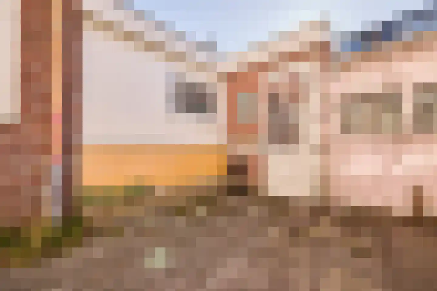 Cornelis Dirkszstraat 165 Utrecht thumbnail 5