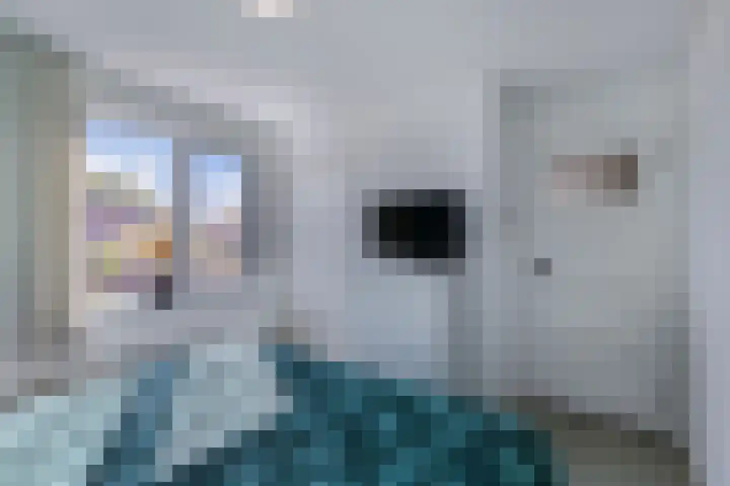 Cornelis Dirkszstraat 17 Emmeloord thumbnail 14