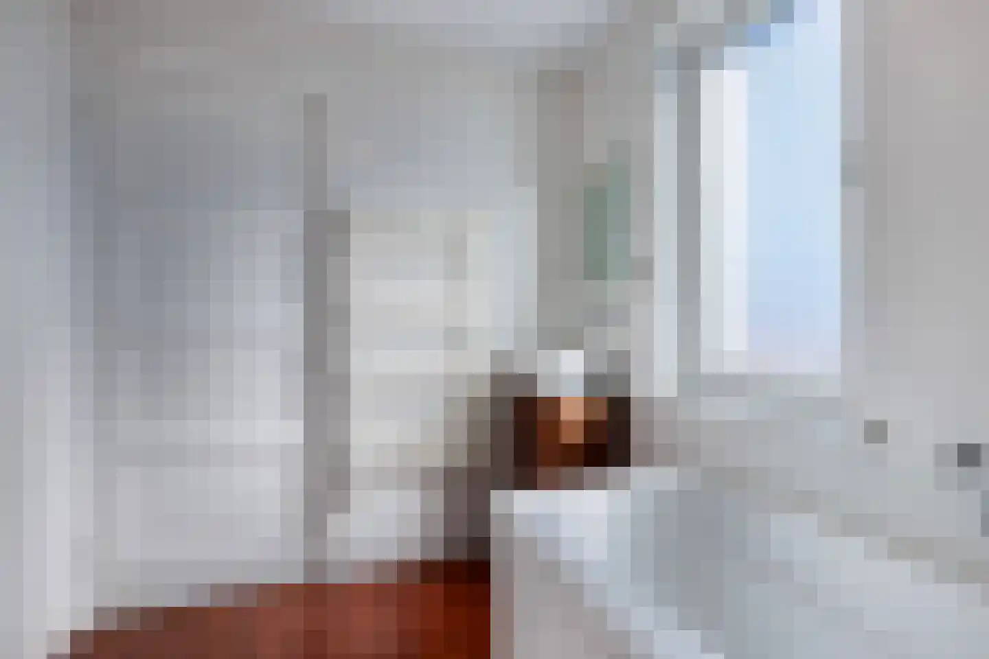 Cornelis Dirkszstraat 17 Emmeloord thumbnail 18