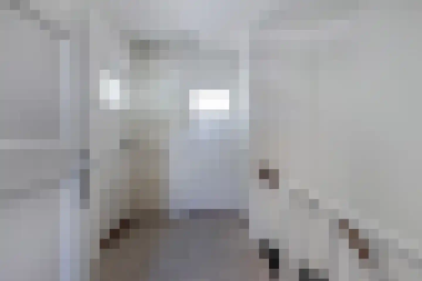 Cornelis Dirkszstraat 17 Emmeloord thumbnail 21