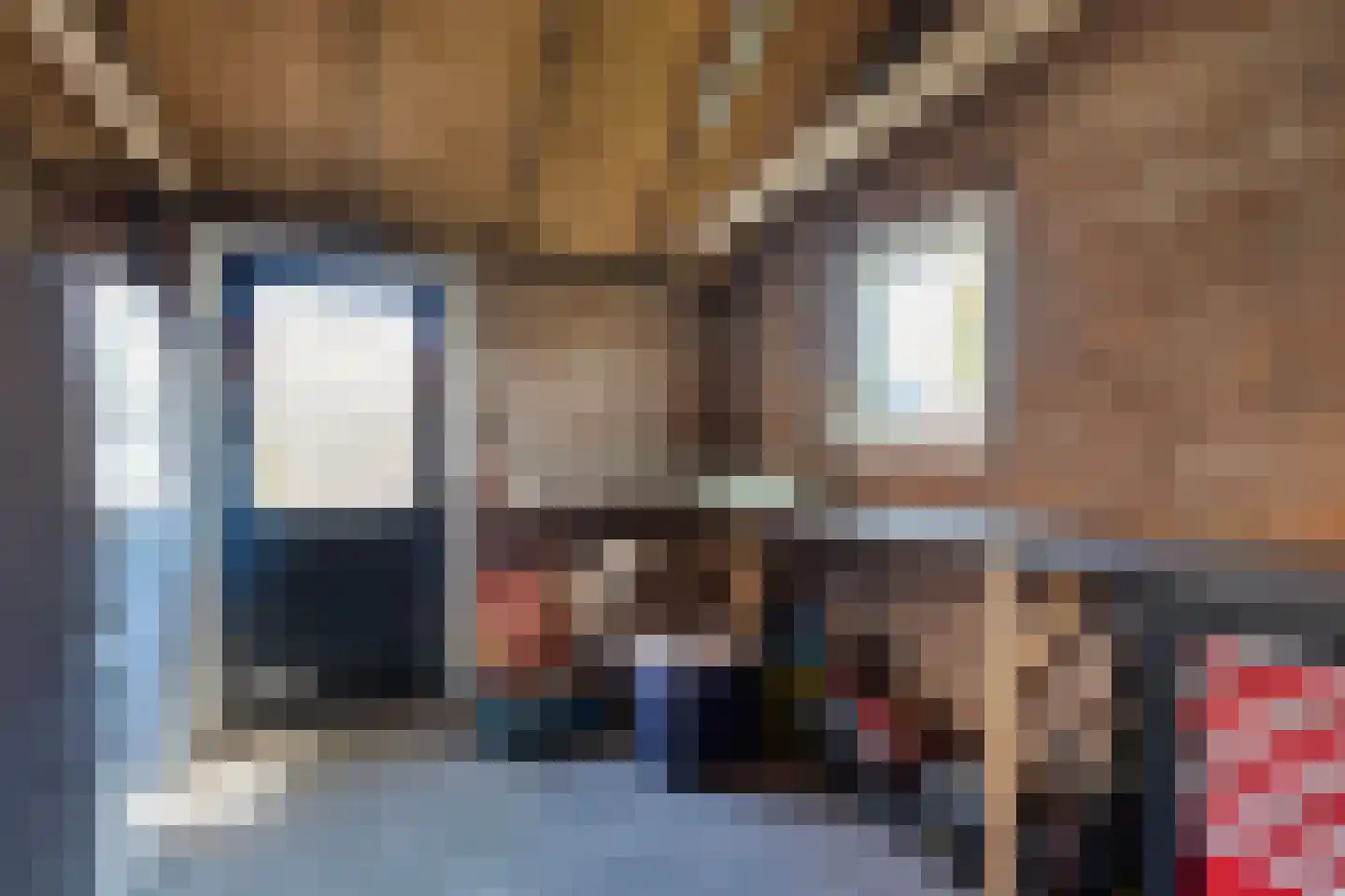 Cornelis Dirkszstraat 17 Emmeloord thumbnail 31