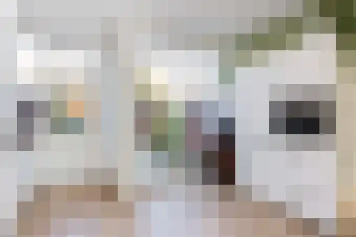 Cornelis Dirkszstraat 20 Utrecht thumbnail 21