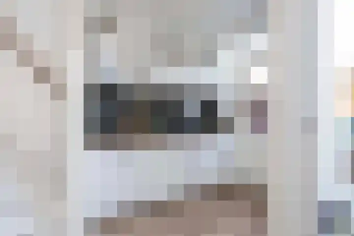 Cornelis Dirkszstraat 20 Utrecht thumbnail 22