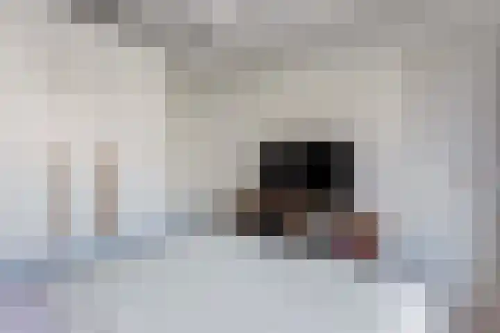 Cornelis Dirkszstraat 20 Utrecht thumbnail 38