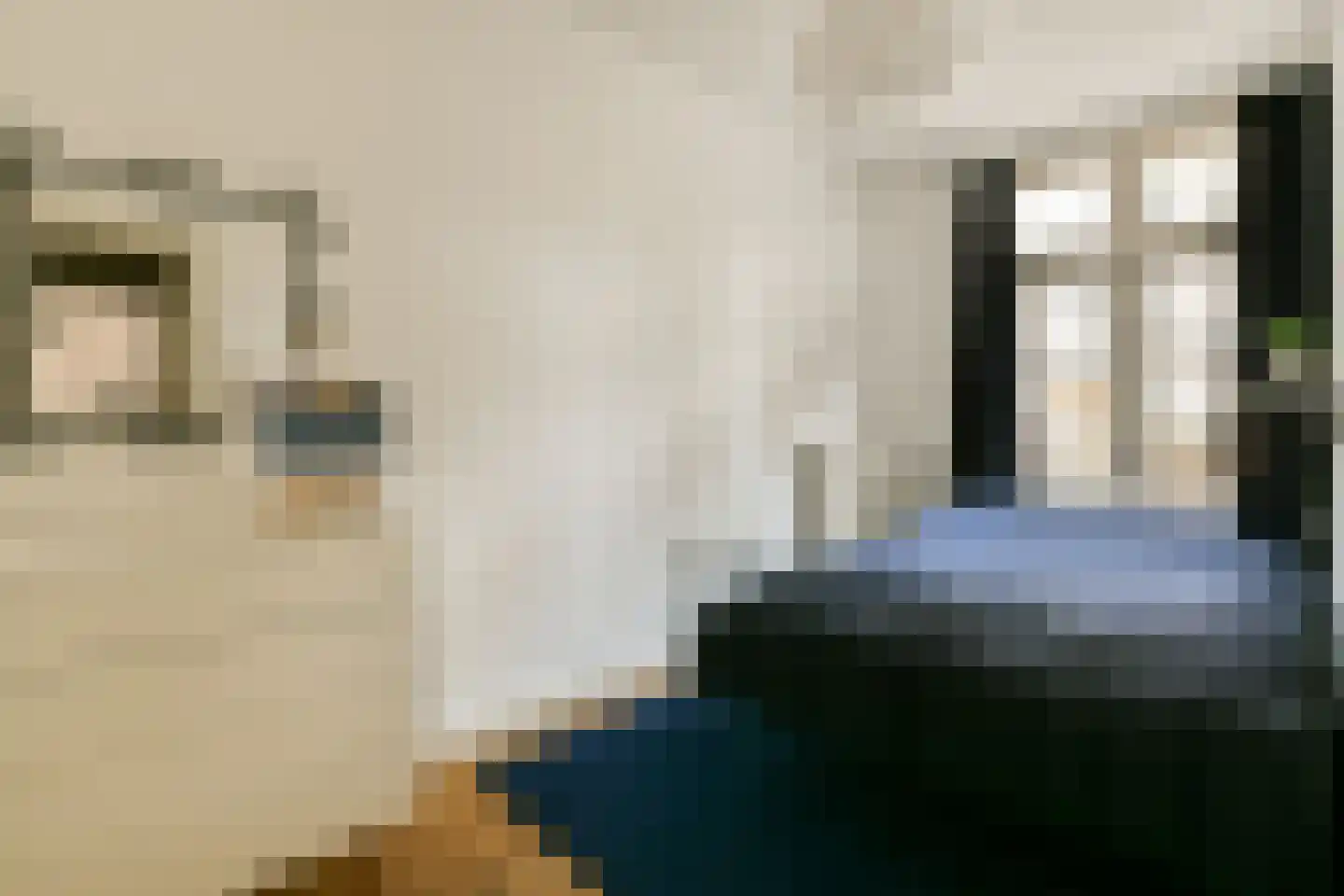 Cornelis Dirkszstraat 25 3 Amsterdam thumbnail 11