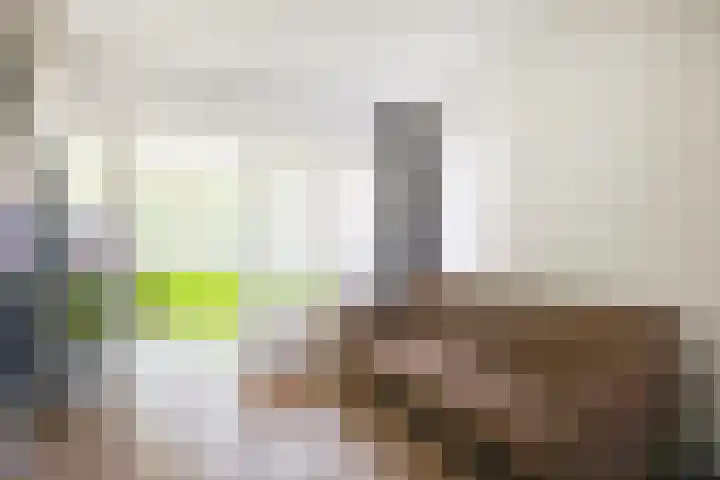 Cornelis Dirkszstraat 39 Utrecht thumbnail 20
