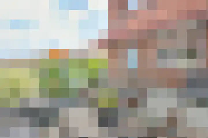 Cornelis Dirkszstraat 39 Utrecht thumbnail 30