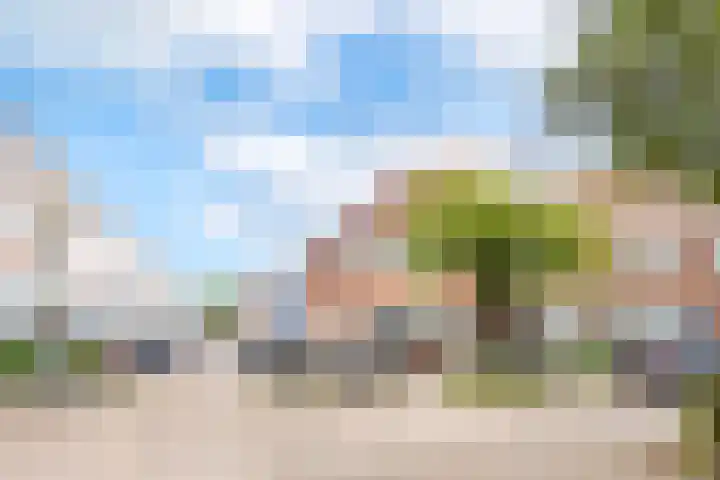 Cornelis Dirkszstraat 39 Utrecht thumbnail 51