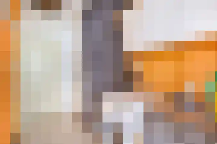 Cornelis Dirkszstraat 39 Utrecht thumbnail 8