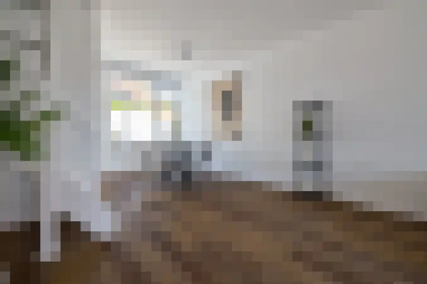 Cornelis Dirkszstraat 8 Utrecht thumbnail 10