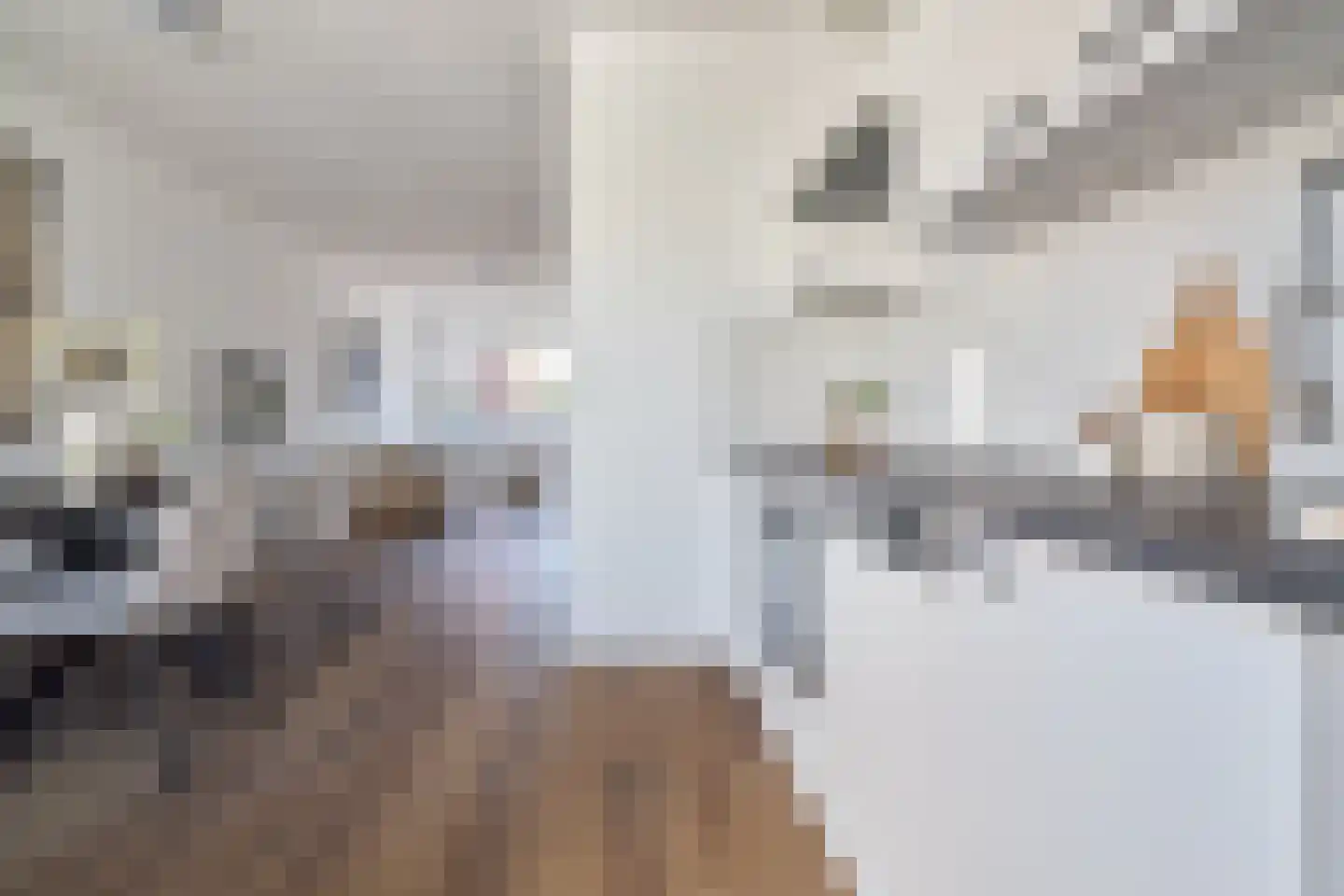 Cornelis Dirkszstraat 8 Utrecht thumbnail 13