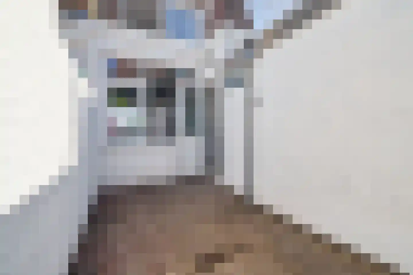 Cornelis Dirkszstraat 8 Utrecht thumbnail 17