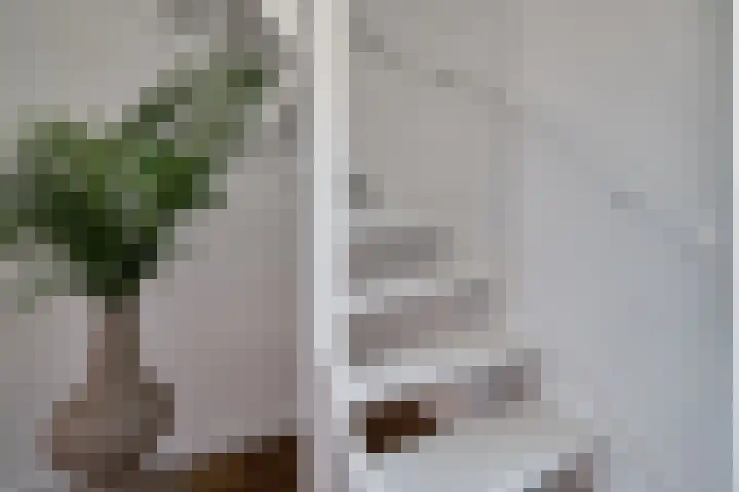 Cornelis Dirkszstraat 8 Utrecht thumbnail 19
