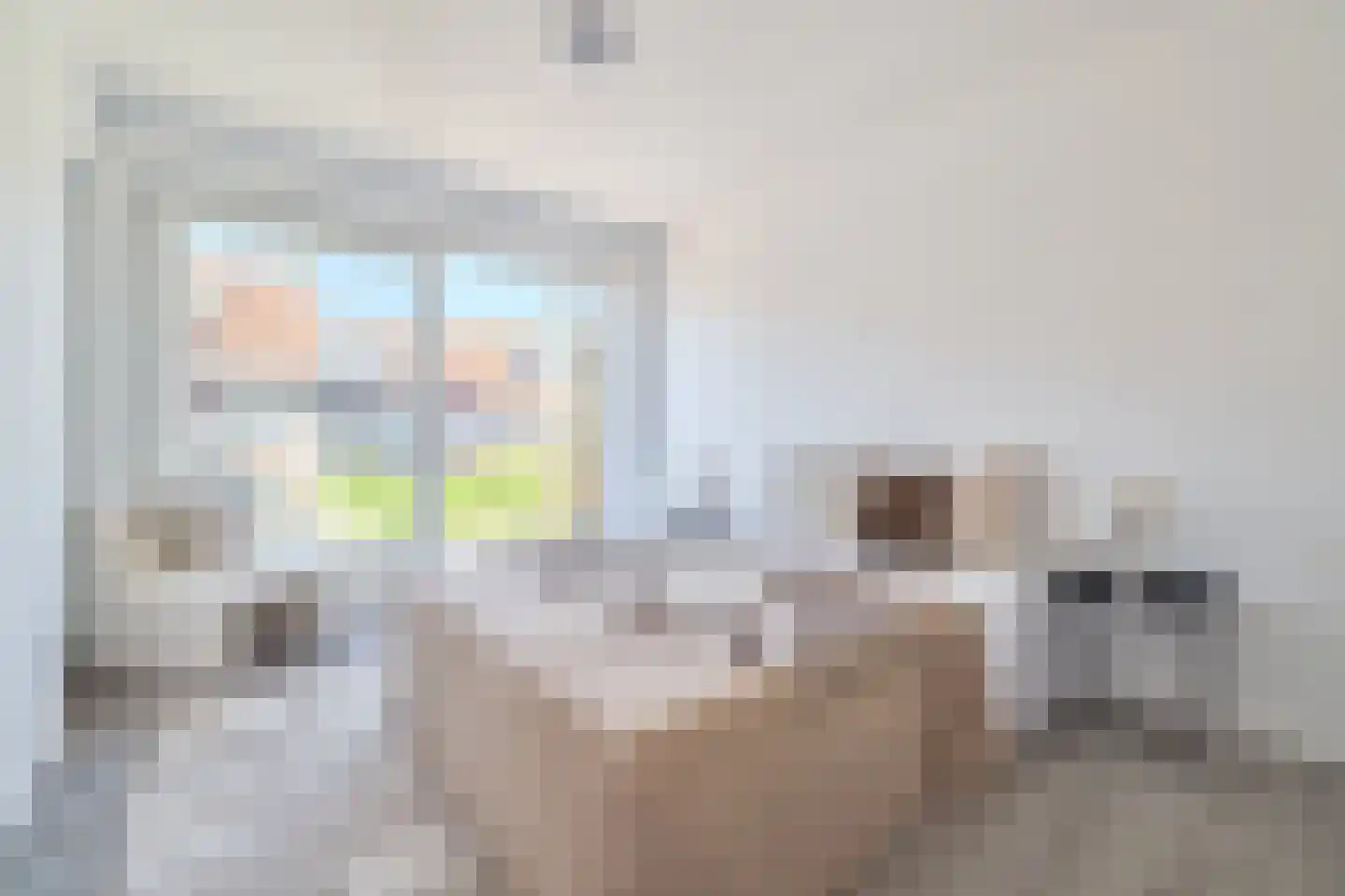Cornelis Dirkszstraat 8 Utrecht thumbnail 20