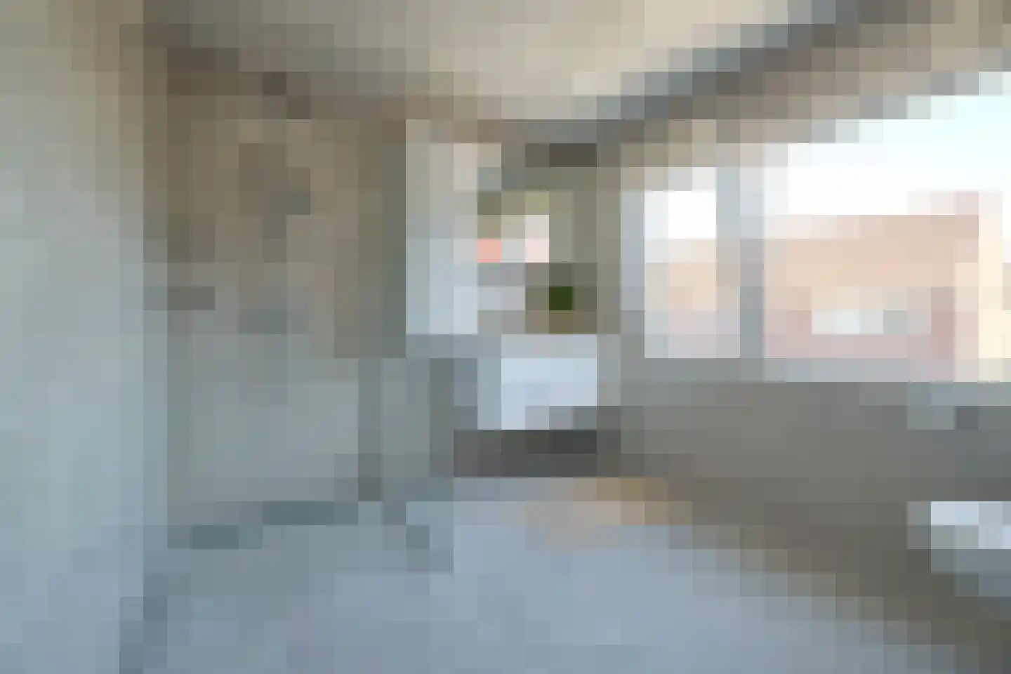 Cornelis Dirkszstraat 8 Utrecht thumbnail 4