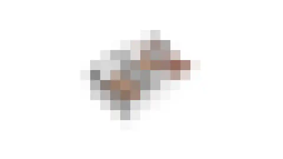 Cornelis Dirkszstraat 8 Utrecht thumbnail 49