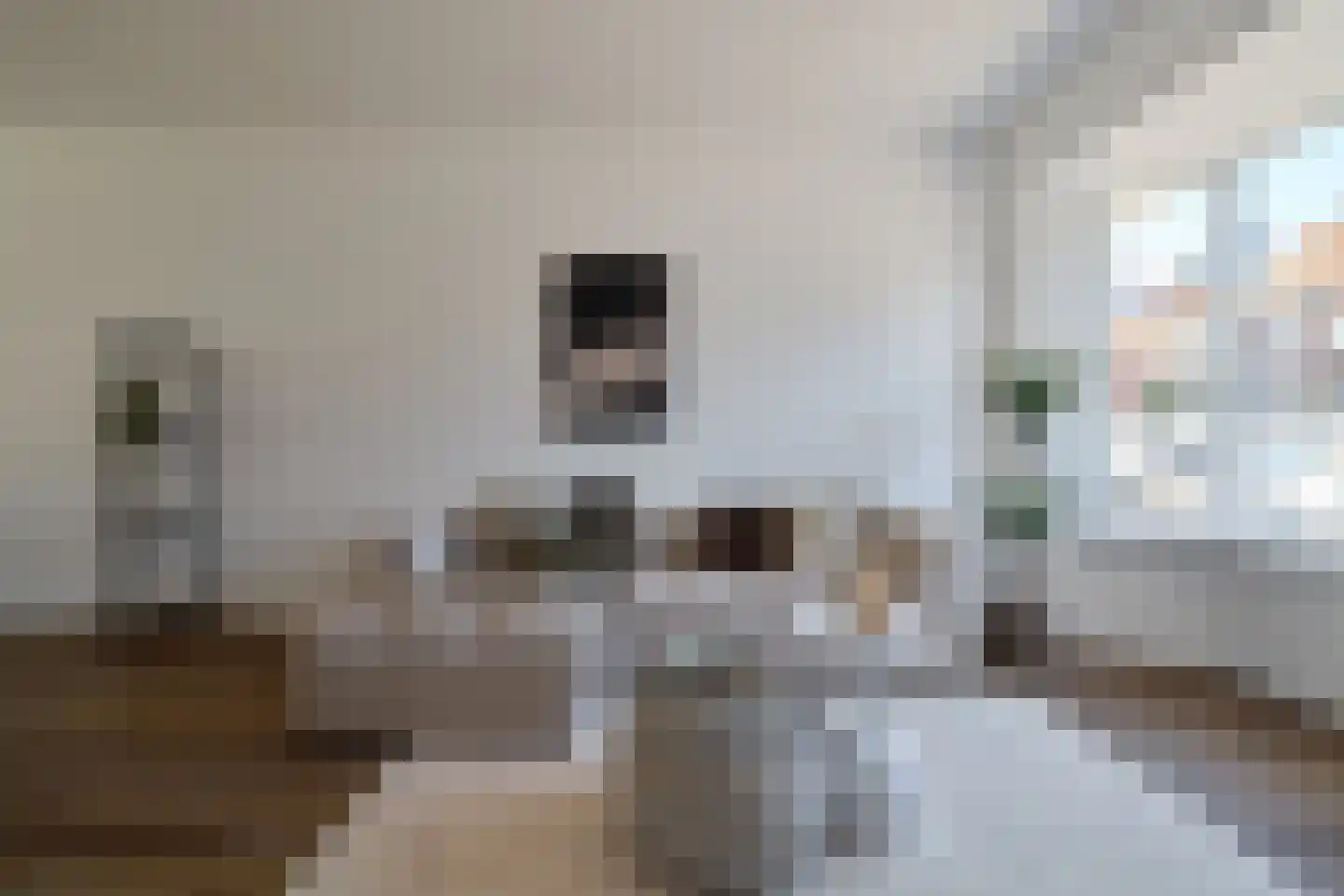 Cornelis Dirkszstraat 8 Utrecht thumbnail 5