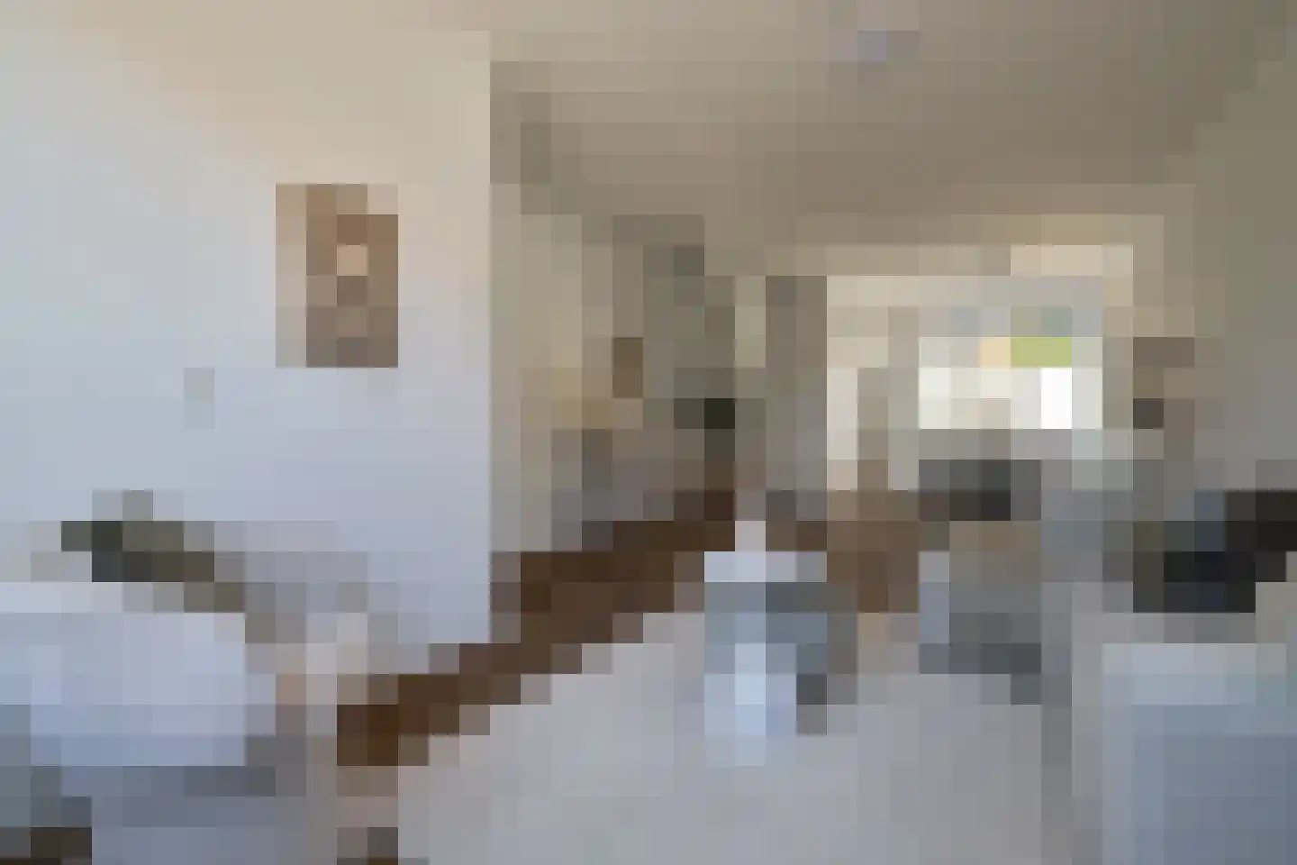 Cornelis Dirkszstraat 8 Utrecht thumbnail 7