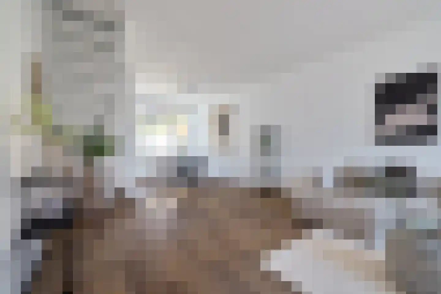 Cornelis Dirkszstraat 8 Utrecht thumbnail 8
