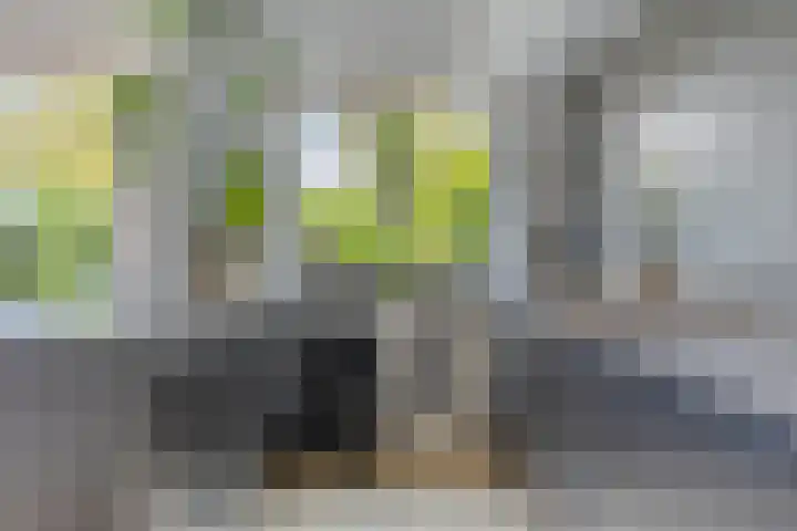 Cornelis Doetsstraat 24 Edam thumbnail 12