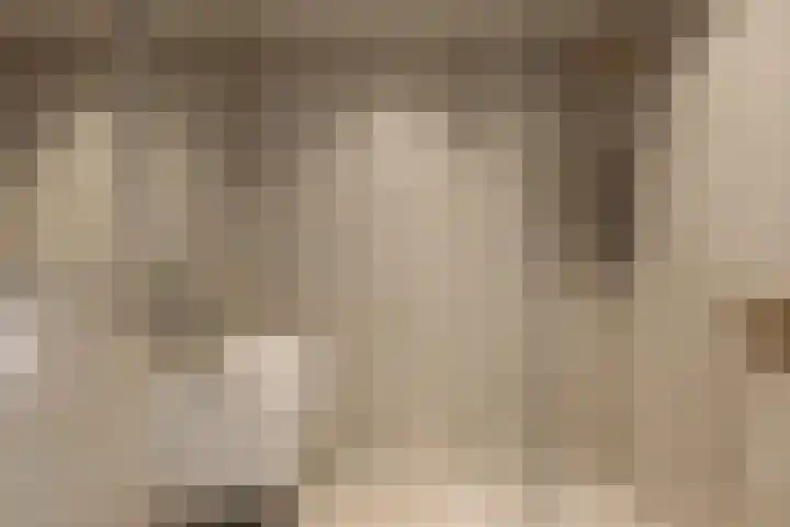 Cornelis Dopperkade 10 H Amsterdam thumbnail 23