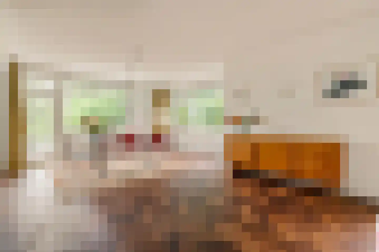 Cornelis Dopperkade 12 2 Amsterdam thumbnail 5