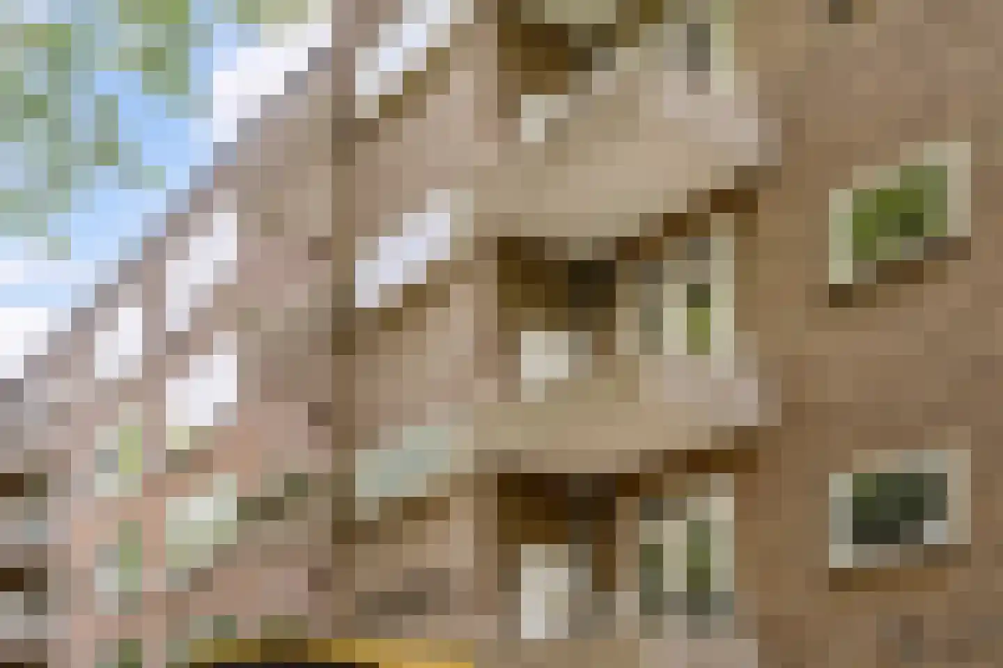 Cornelis Dopperkade 12 H Amsterdam thumbnail 27