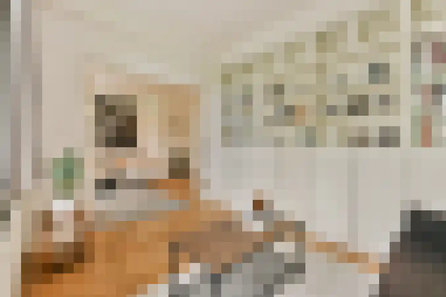 Cornelis Dopperkade 2 3 Amsterdam thumbnail 15