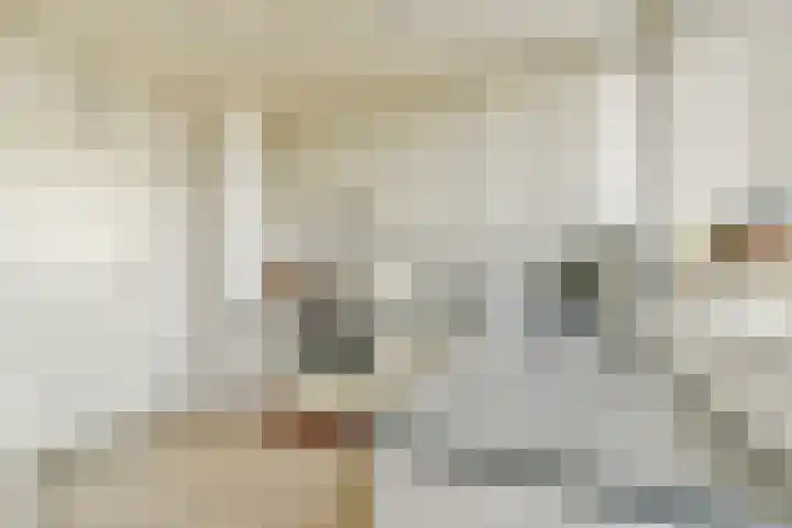 Cornelis Dopperkade 2 3 Amsterdam thumbnail 20