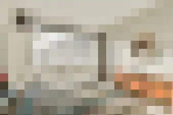 Cornelis Dopperkade 2 3 Amsterdam thumbnail 25