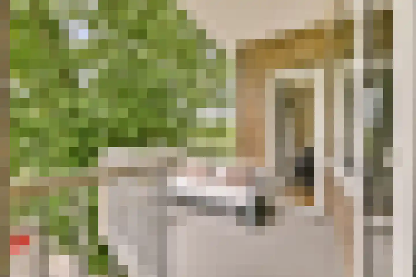 Cornelis Dopperkade 2 3 Amsterdam thumbnail 5