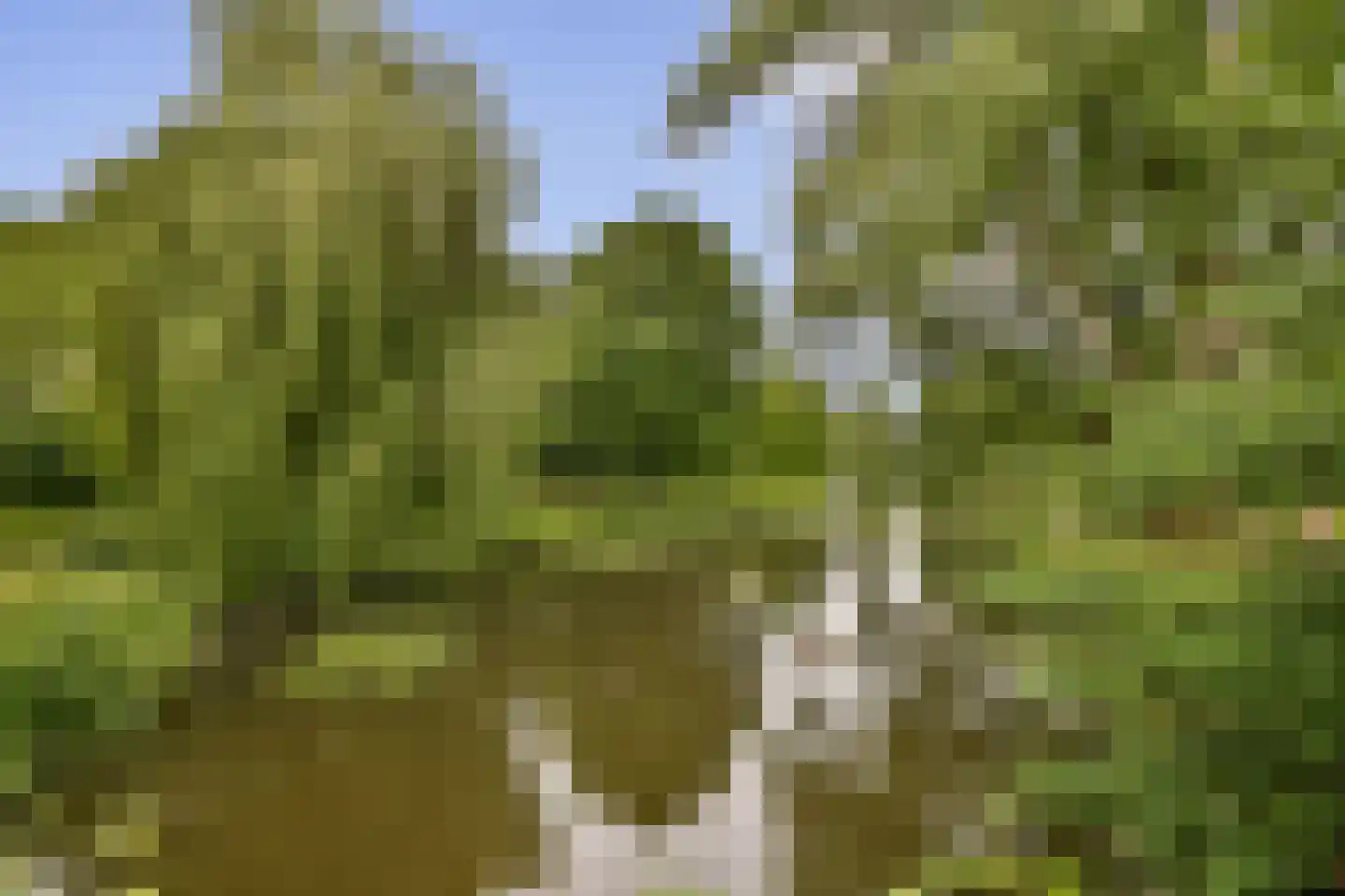 Cornelis Dopperkade 2 3 Amsterdam thumbnail 7