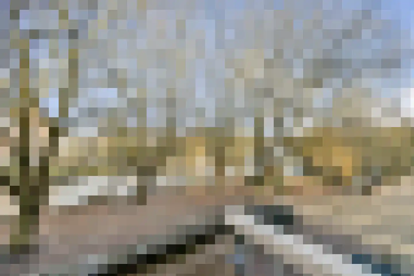 Cornelis Dopperkade 2 H Amsterdam thumbnail 22