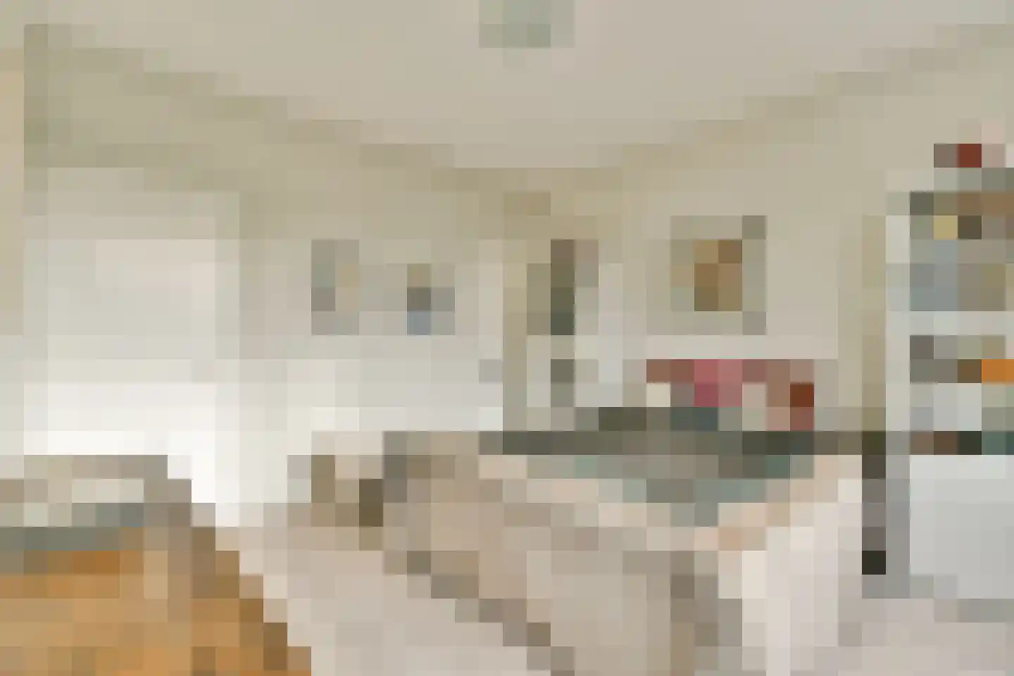 Cornelis Dopperkade 2 H Amsterdam thumbnail 26