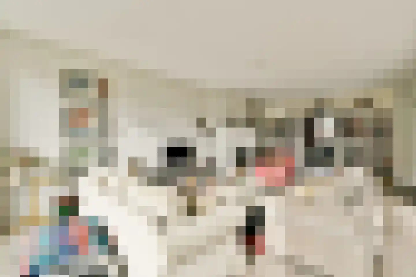 Cornelis Dopperkade 2 H Amsterdam thumbnail 7