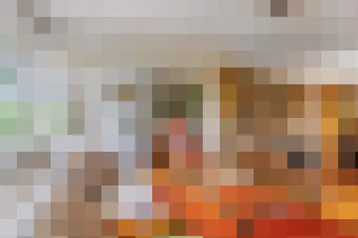Cornelis Dopperkade 7 3 Amsterdam thumbnail 11