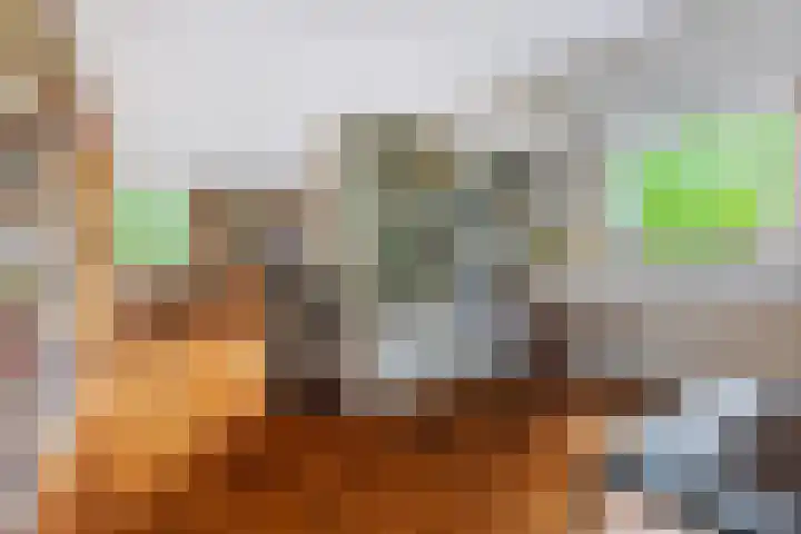 Cornelis Dopperkade 7 3 Amsterdam thumbnail 15